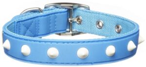 Gummi Spike Dog Collar