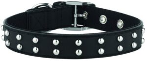 Gummi Studded Collar