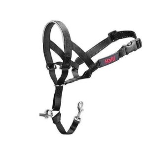 Halti Head Collar