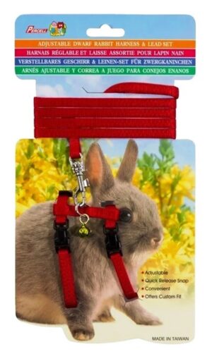 Dwarf Rabbit Harness