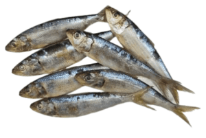 Fresh Sardines 5pk